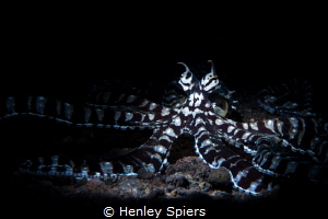 I lose my mind, every time I see a Mimic. by Henley Spiers 